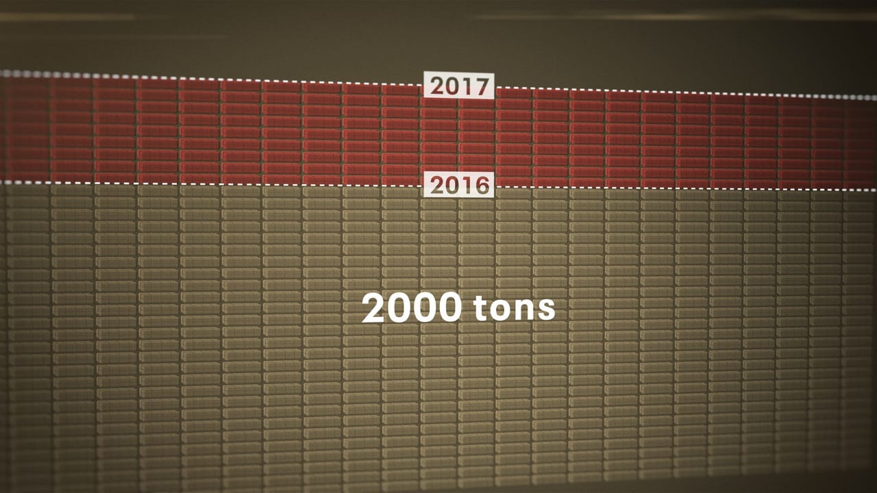 bod-16.jpg