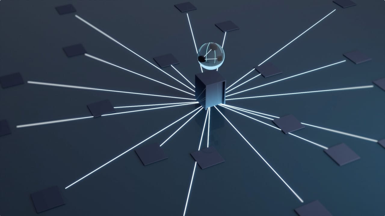 reel-13.jpg